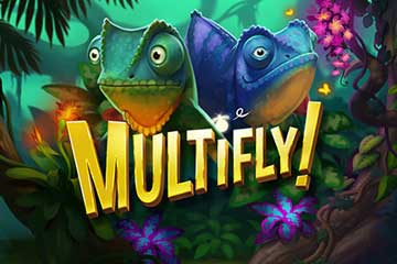 MultiFly