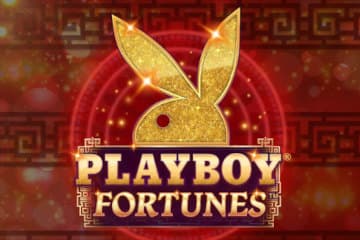 Playboy Fortunes